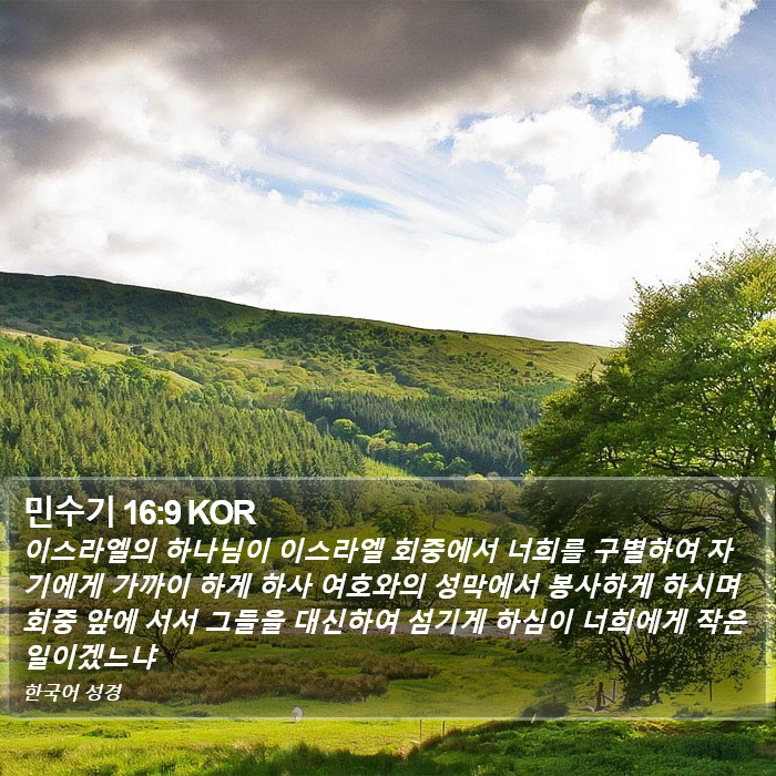 민수기 16:9 KOR Bible Study
