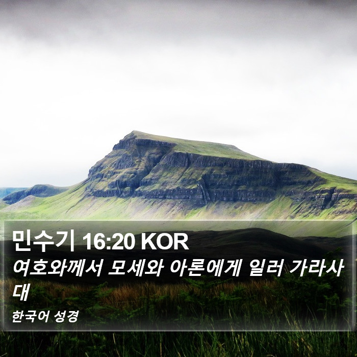 민수기 16:20 KOR Bible Study