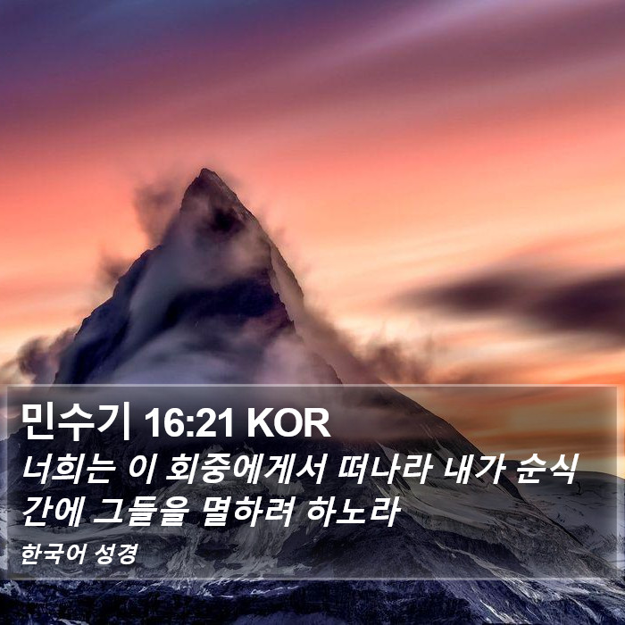 민수기 16:21 KOR Bible Study