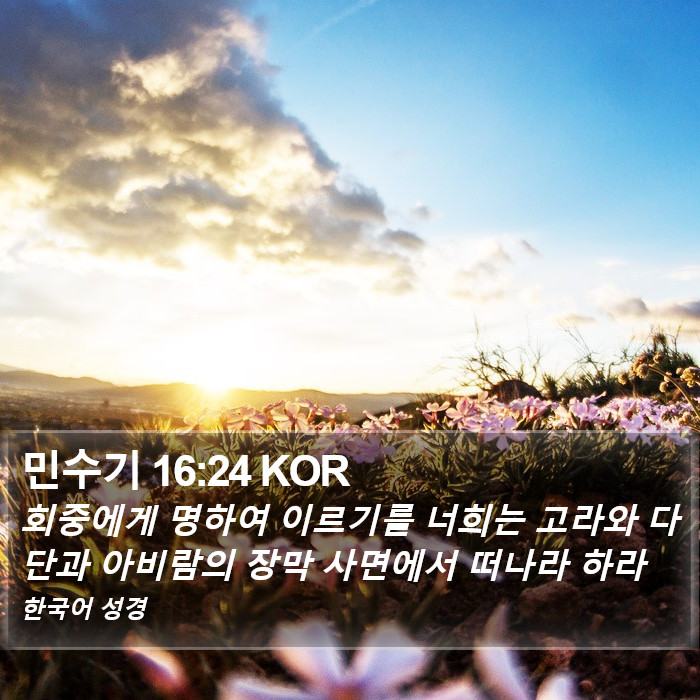 민수기 16:24 KOR Bible Study