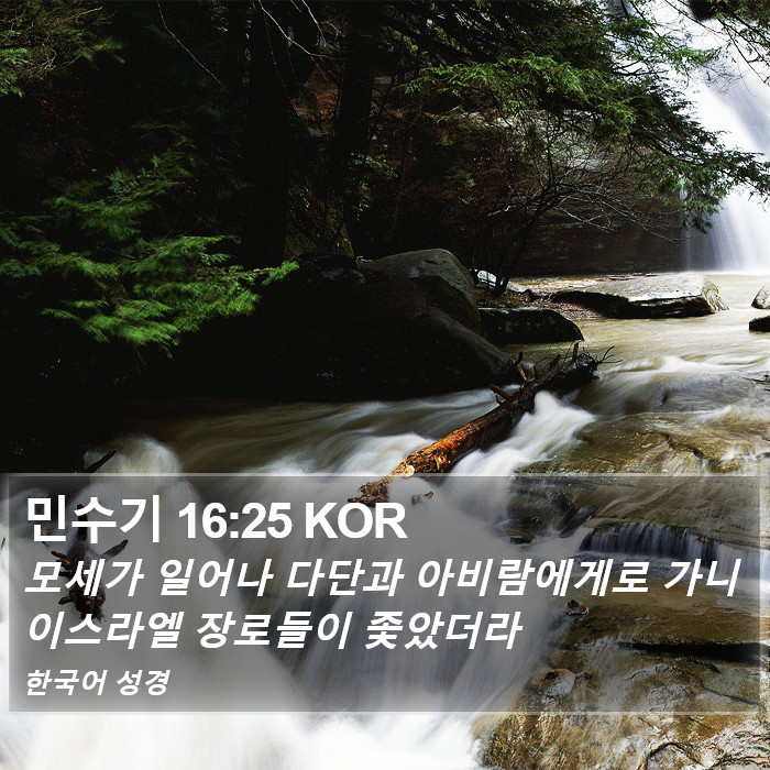 민수기 16:25 KOR Bible Study