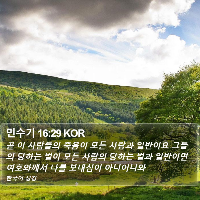 민수기 16:29 KOR Bible Study