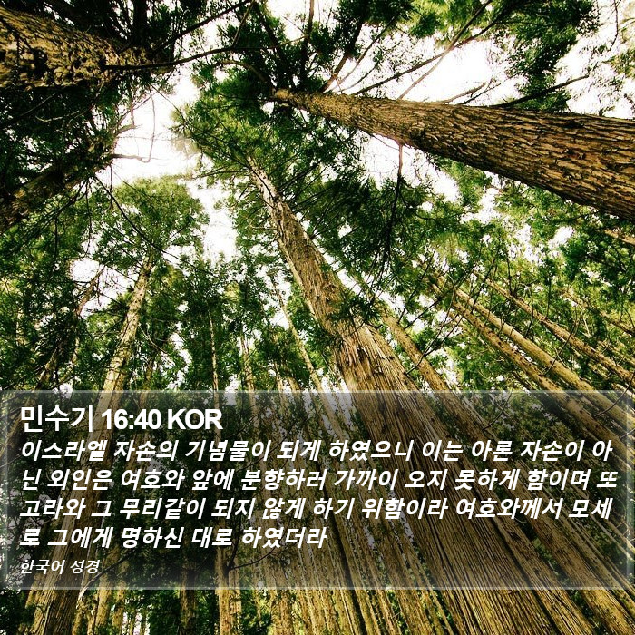 민수기 16:40 KOR Bible Study