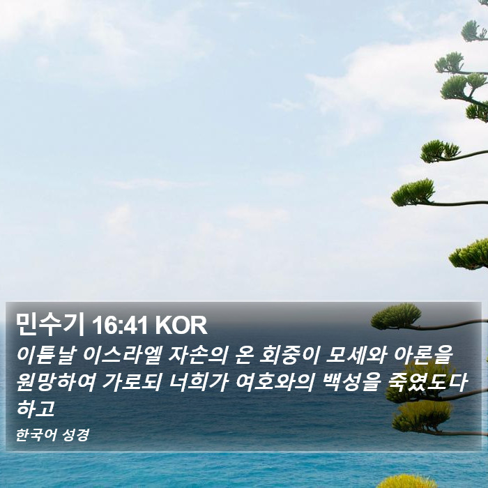 민수기 16:41 KOR Bible Study