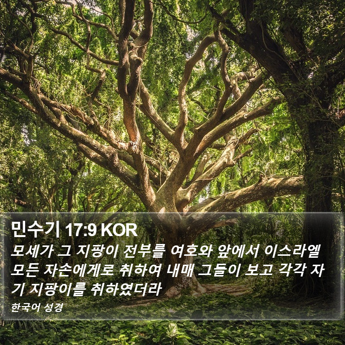 민수기 17:9 KOR Bible Study