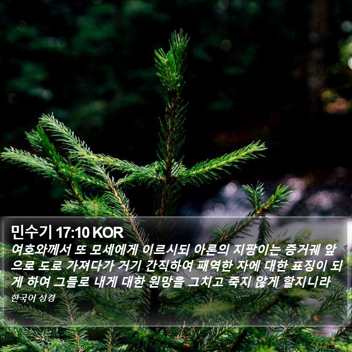 민수기 17:10 KOR Bible Study