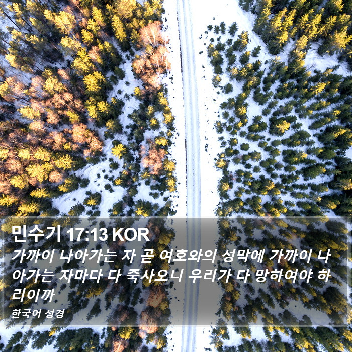 민수기 17:13 KOR Bible Study