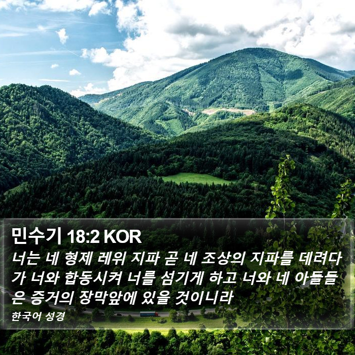 민수기 18:2 KOR Bible Study