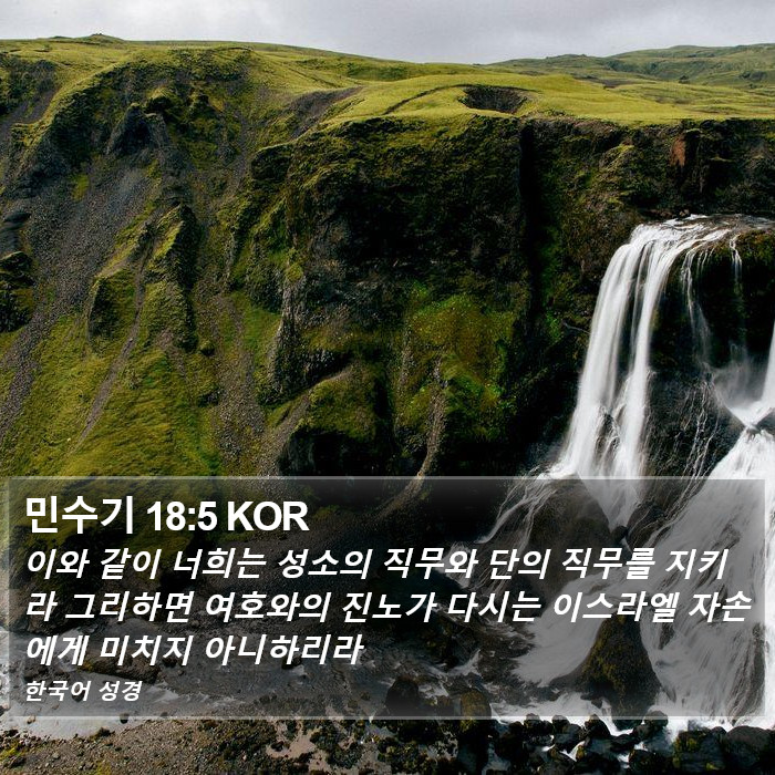 민수기 18:5 KOR Bible Study