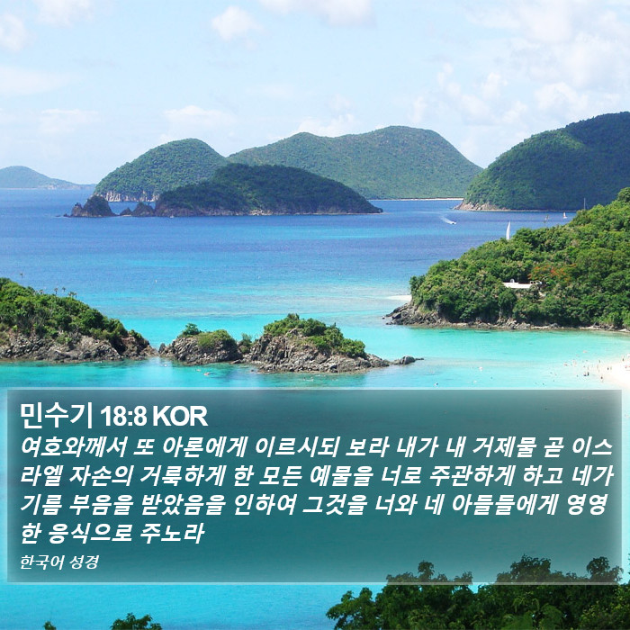 민수기 18:8 KOR Bible Study