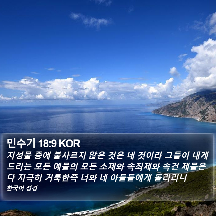 민수기 18:9 KOR Bible Study