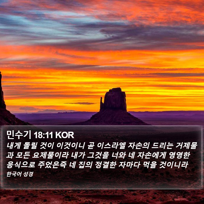 민수기 18:11 KOR Bible Study