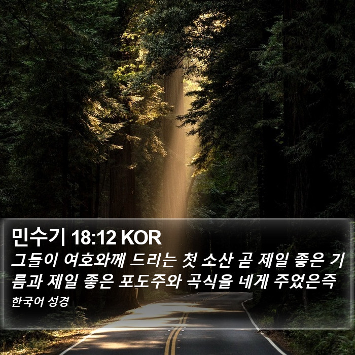 민수기 18:12 KOR Bible Study