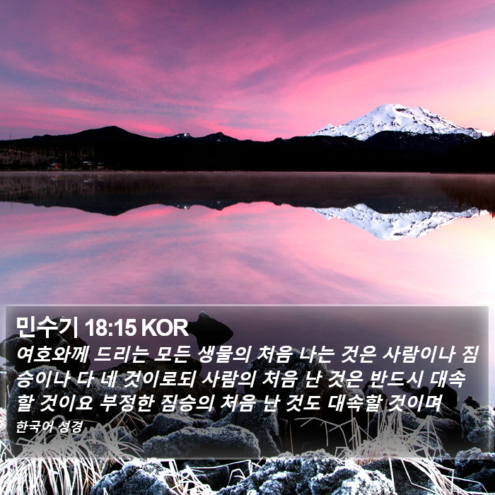 민수기 18:15 KOR Bible Study