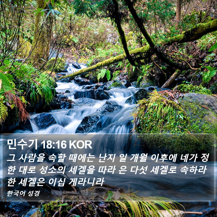 민수기 18:16 KOR Bible Study