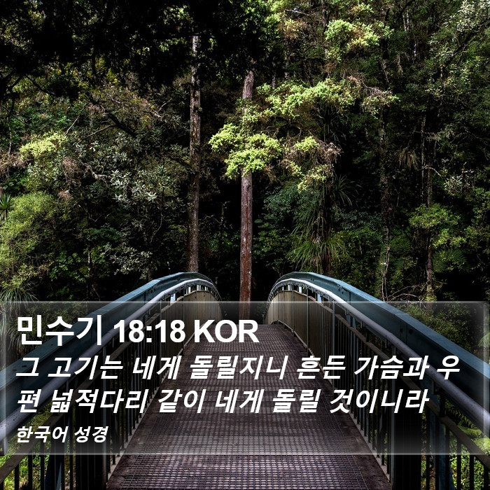 민수기 18:18 KOR Bible Study