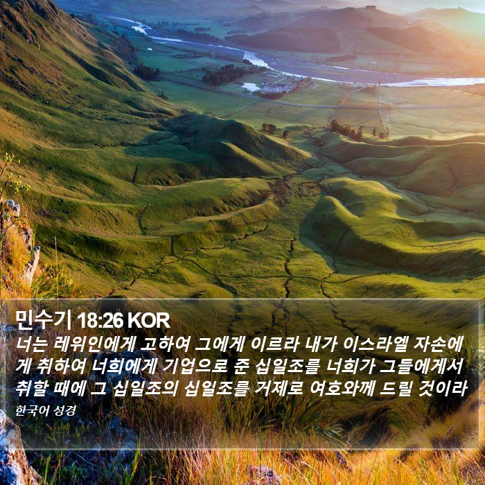 민수기 18:26 KOR Bible Study