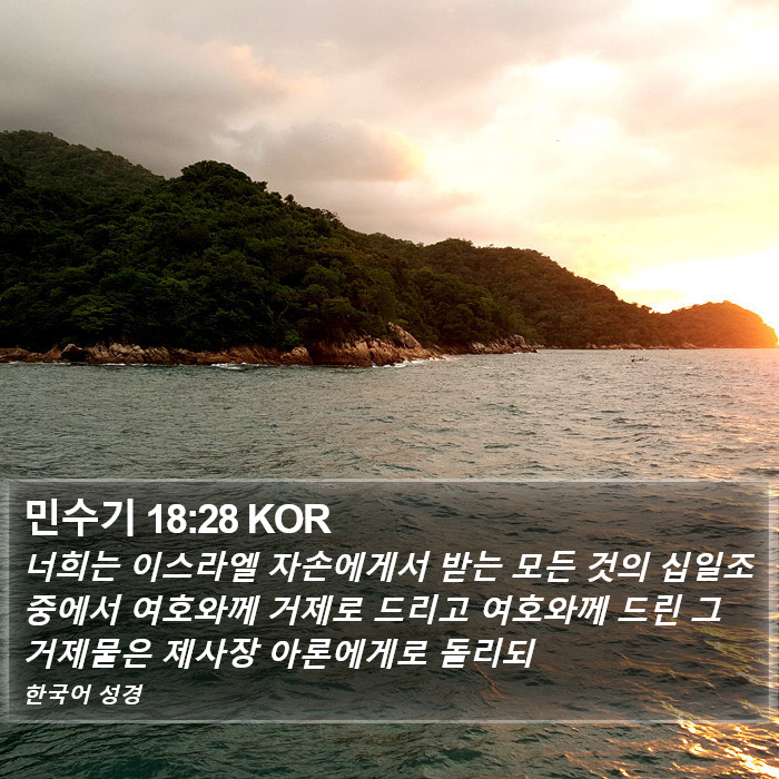 민수기 18:28 KOR Bible Study