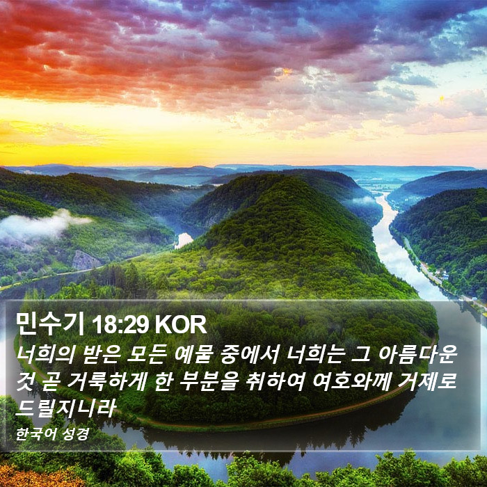 민수기 18:29 KOR Bible Study