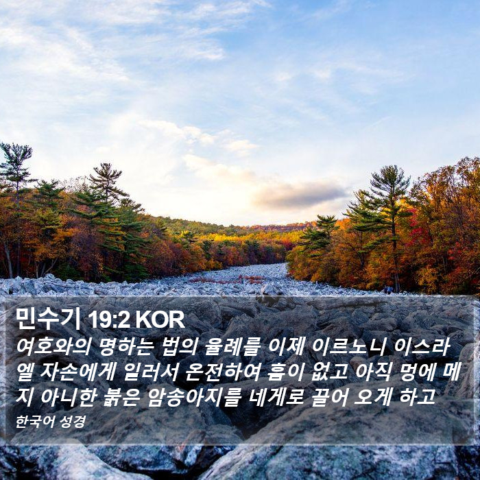 민수기 19:2 KOR Bible Study