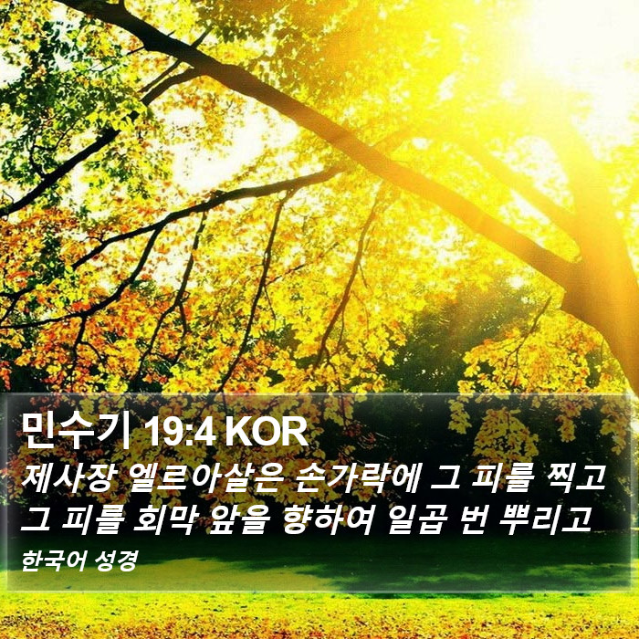 민수기 19:4 KOR Bible Study