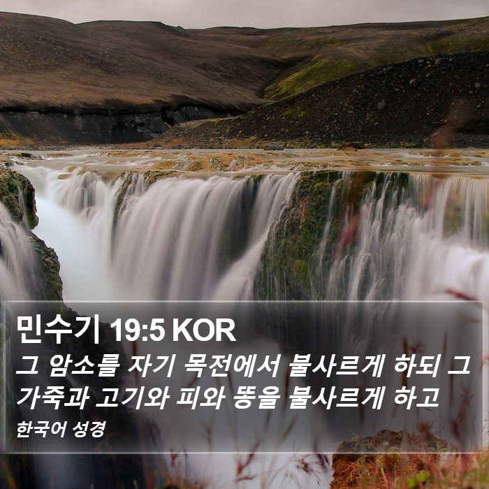 민수기 19:5 KOR Bible Study