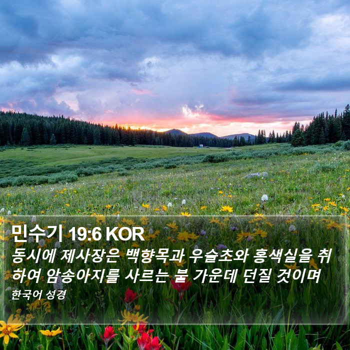 민수기 19:6 KOR Bible Study