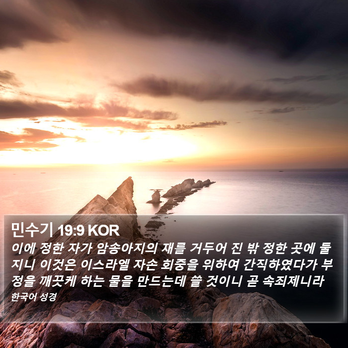 민수기 19:9 KOR Bible Study