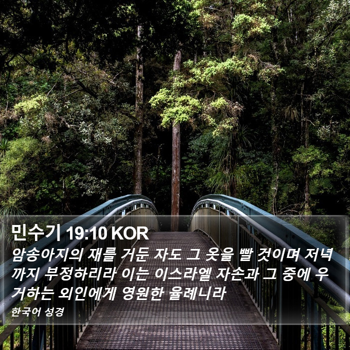 민수기 19:10 KOR Bible Study