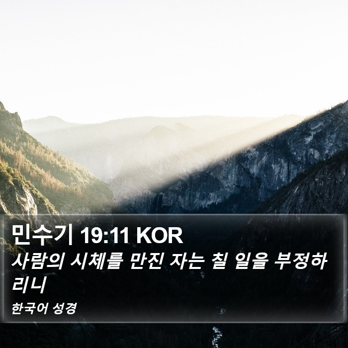 민수기 19:11 KOR Bible Study