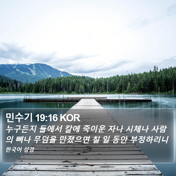 민수기 19:16 KOR Bible Study