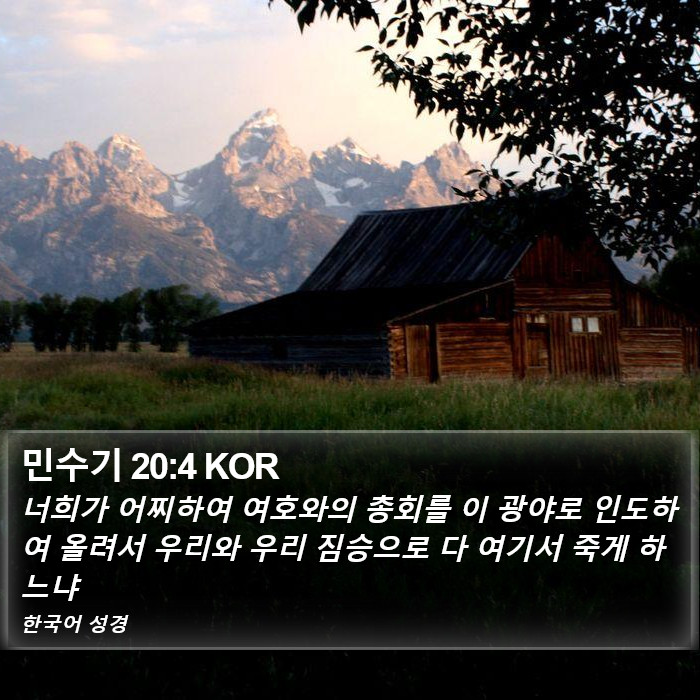 민수기 20:4 KOR Bible Study