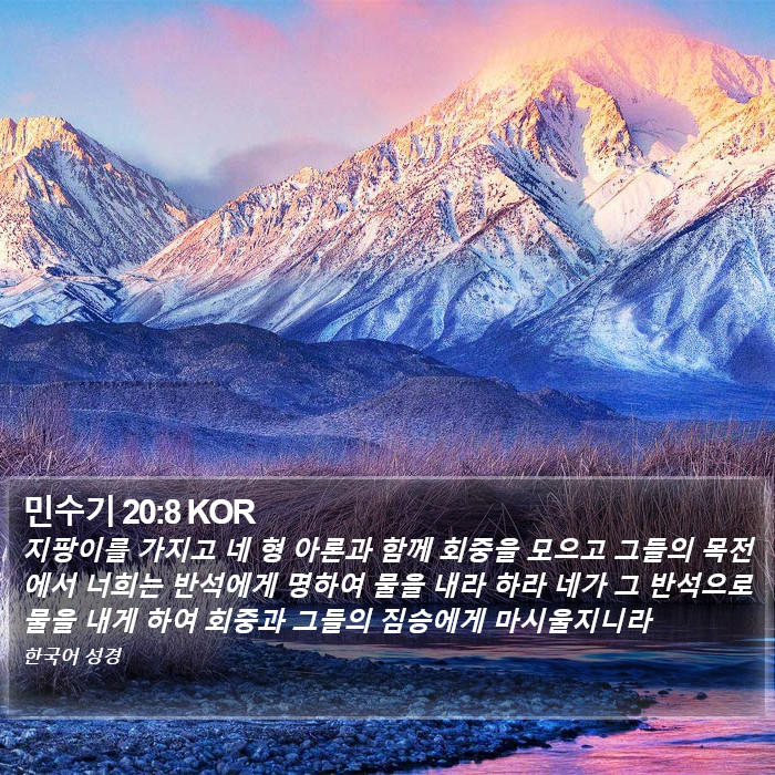 민수기 20:8 KOR Bible Study
