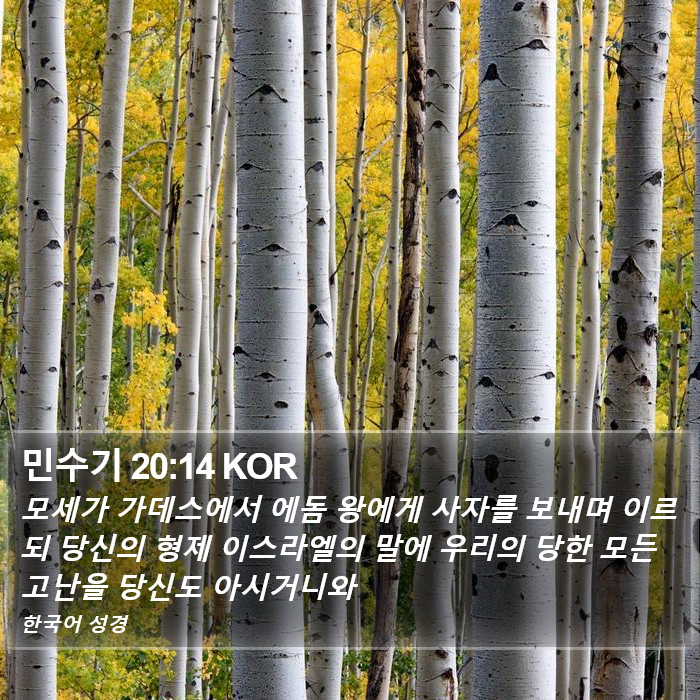 민수기 20:14 KOR Bible Study