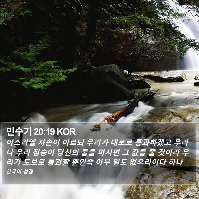 민수기 20:19 KOR Bible Study