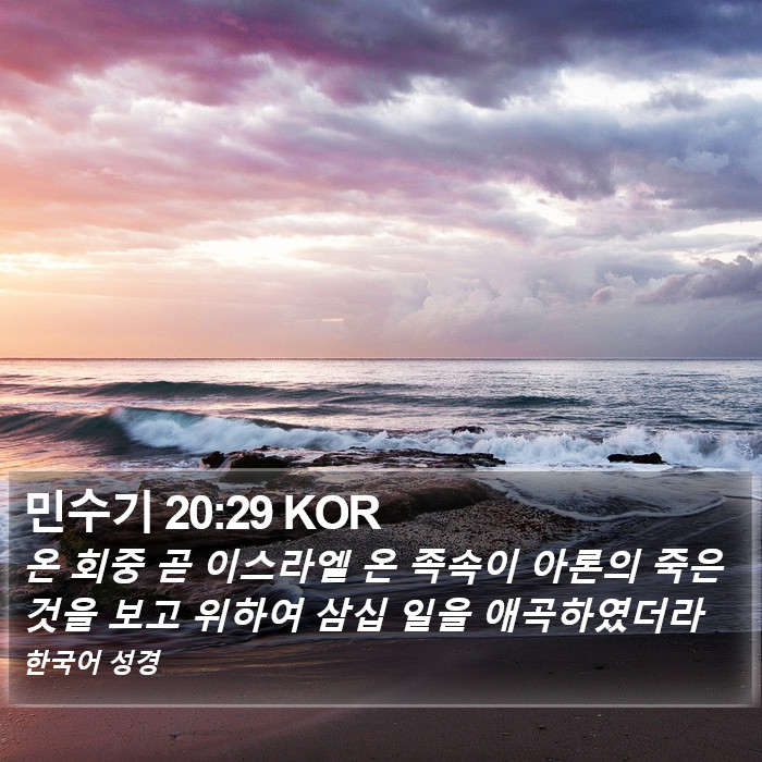 민수기 20:29 KOR Bible Study