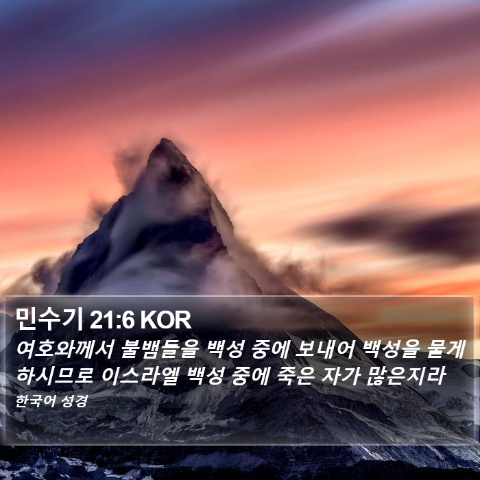 민수기 21:6 KOR Bible Study