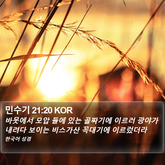 민수기 21:20 KOR Bible Study