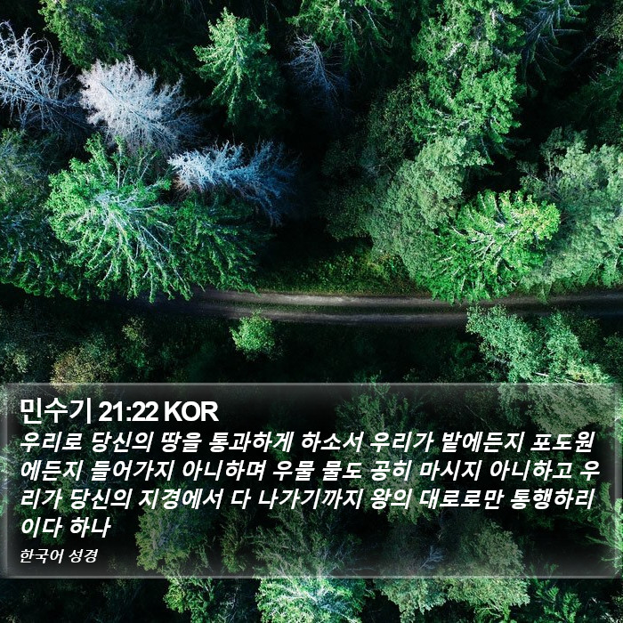 민수기 21:22 KOR Bible Study