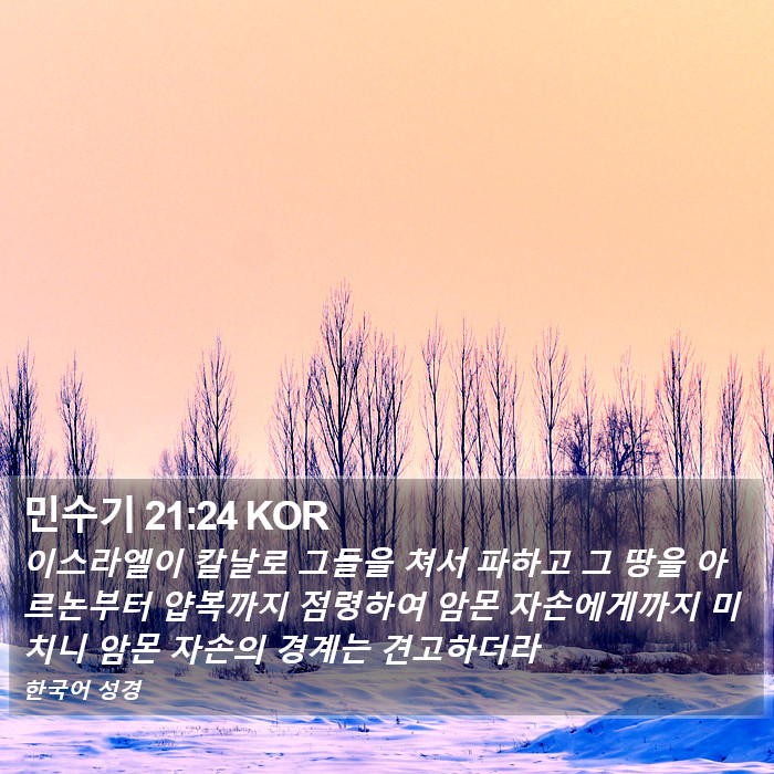 민수기 21:24 KOR Bible Study