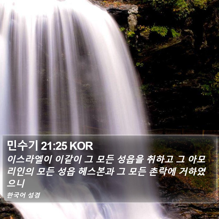 민수기 21:25 KOR Bible Study