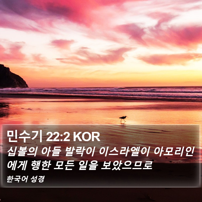 민수기 22:2 KOR Bible Study