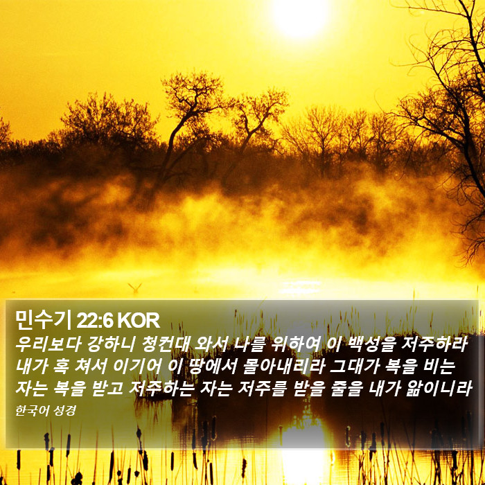 민수기 22:6 KOR Bible Study