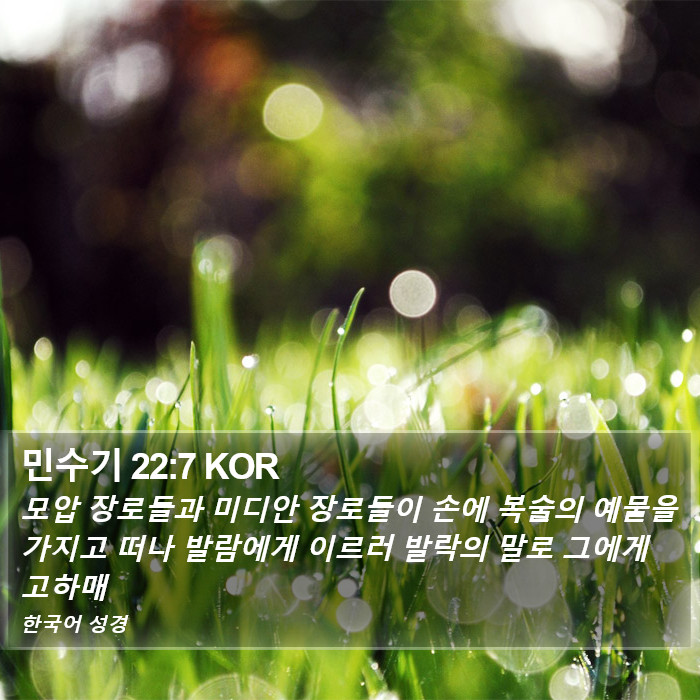 민수기 22:7 KOR Bible Study