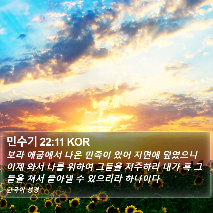 민수기 22:11 KOR Bible Study