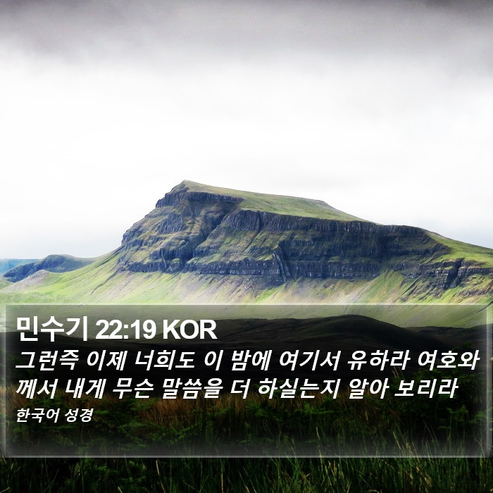 민수기 22:19 KOR Bible Study