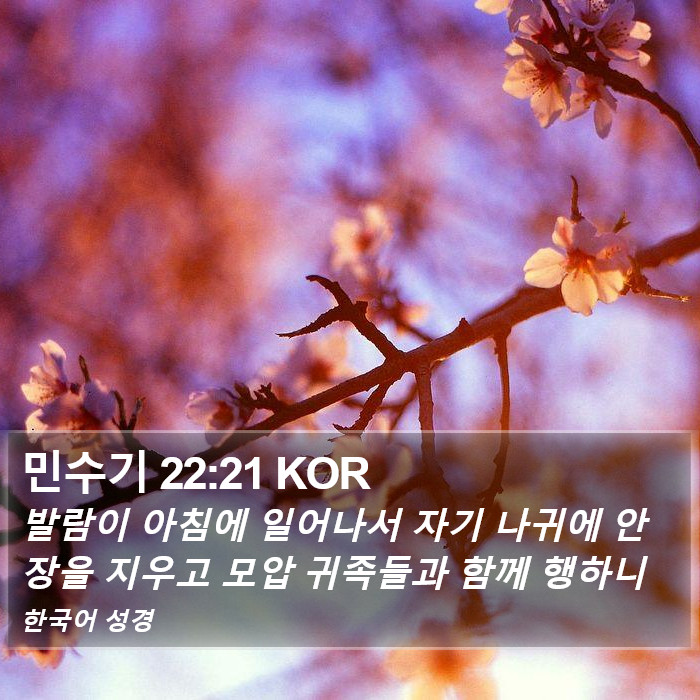 민수기 22:21 KOR Bible Study