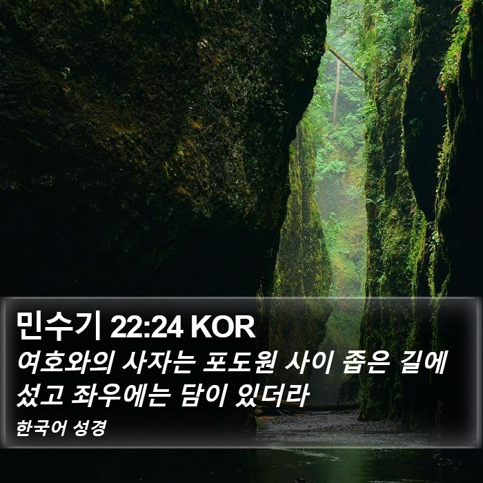 민수기 22:24 KOR Bible Study