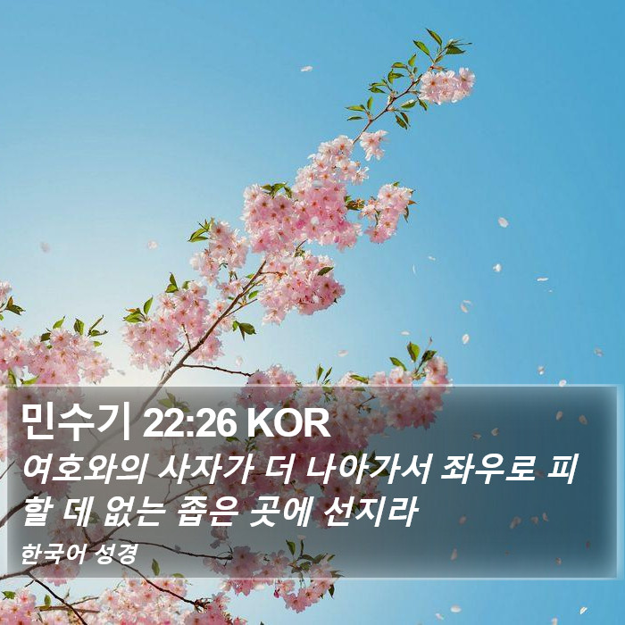 민수기 22:26 KOR Bible Study