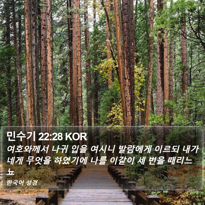 민수기 22:28 KOR Bible Study